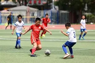 布莱希特,看似,只为娱乐观,nba买球官方网站,nba买球,(中国)官方,nba买球网站,nba买球app下载