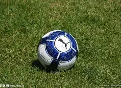 买球,下载,资讯,nba买球官方网站,nba买球,(中国)官方,nba买球网站,nba买球app下载