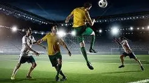 诺瓦克·德约科维奇逆袭年终榜首关键：盼拉法早早淘汰