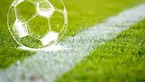 虹口路跑赛事升级至10公里，推动流量向消费转化增长